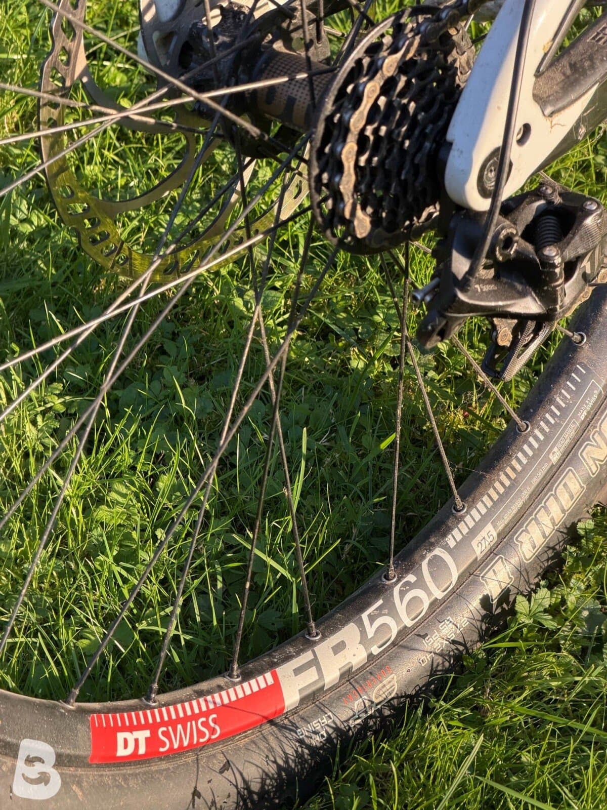 Saracen Myst Team 27.5 2020