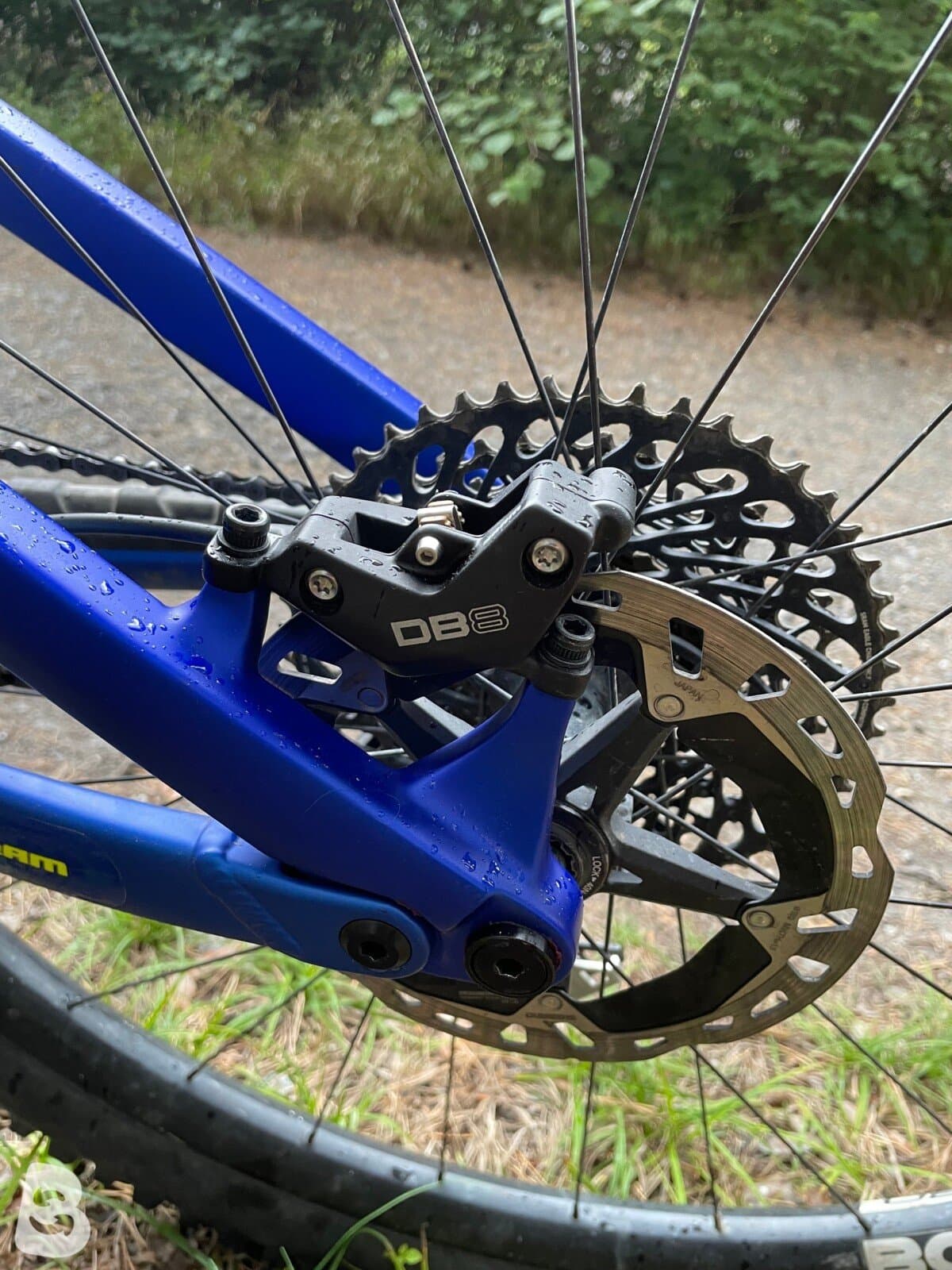 Dartmoor thunderbird CF - carbon frame 2026