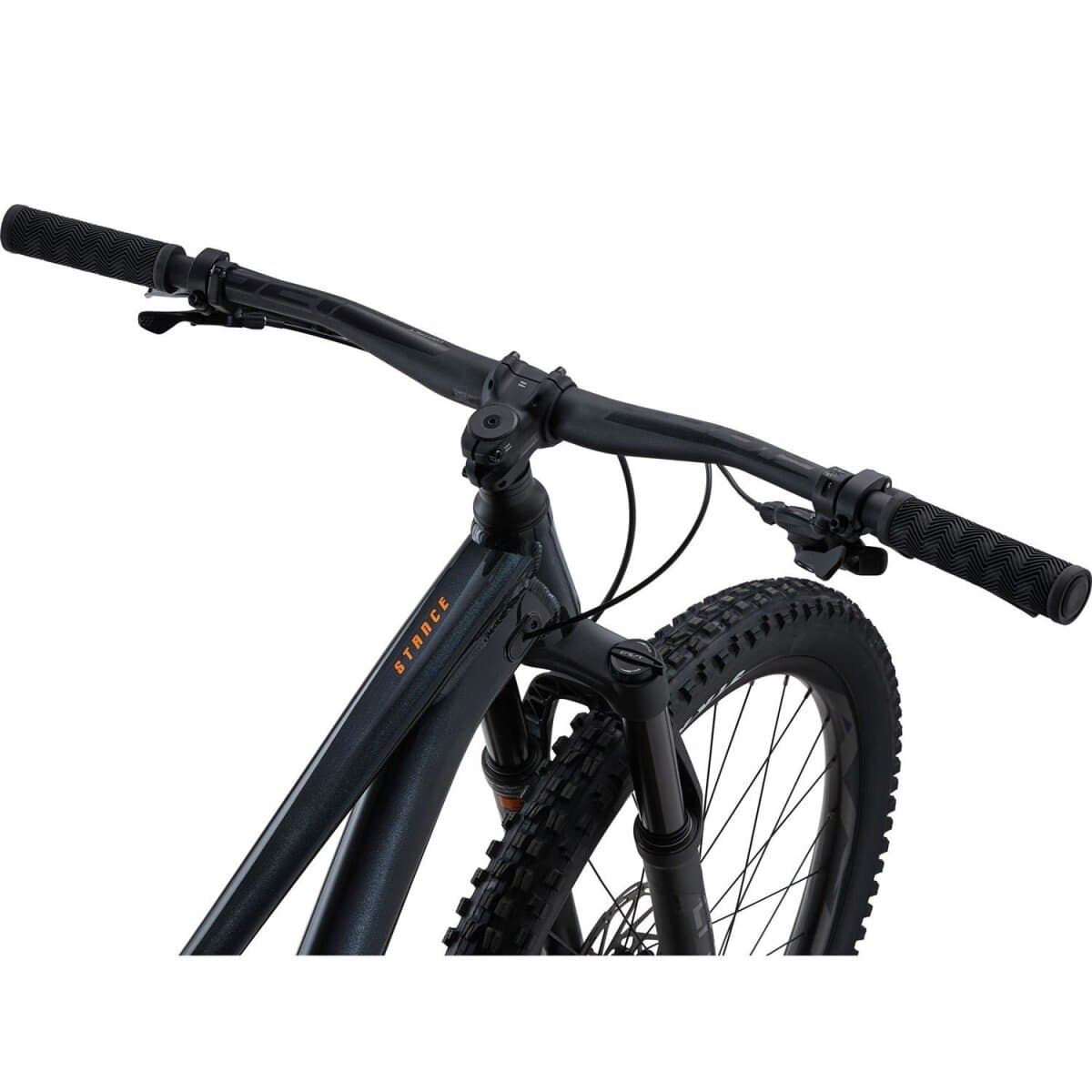 Giant Stance 29 1 2022
