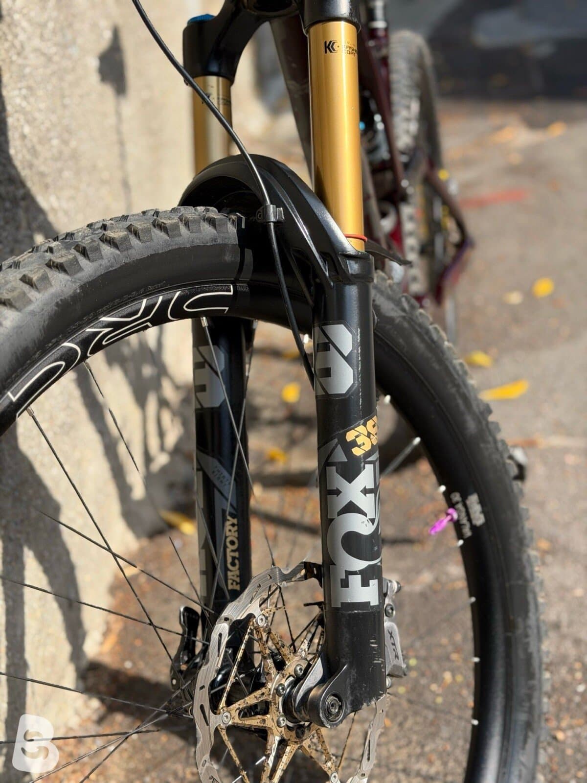 Orbea RALLON M-TEAM 2023