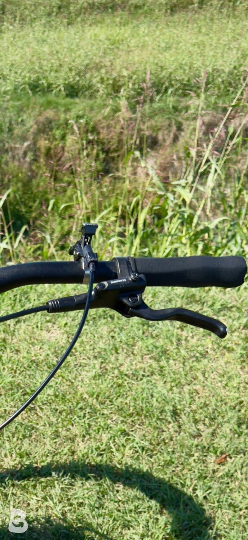 Bernardi Mtb 2024