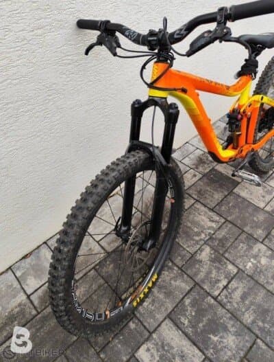 Giant Reign 1 2020