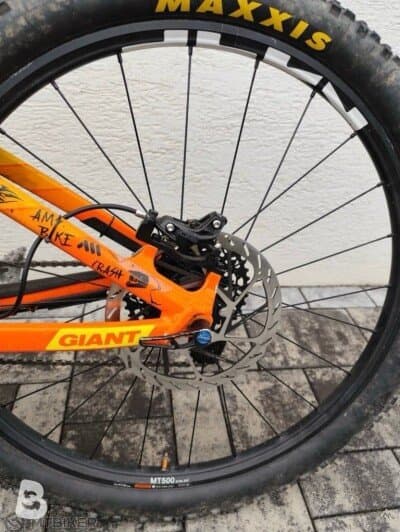 Giant Reign 1 2020