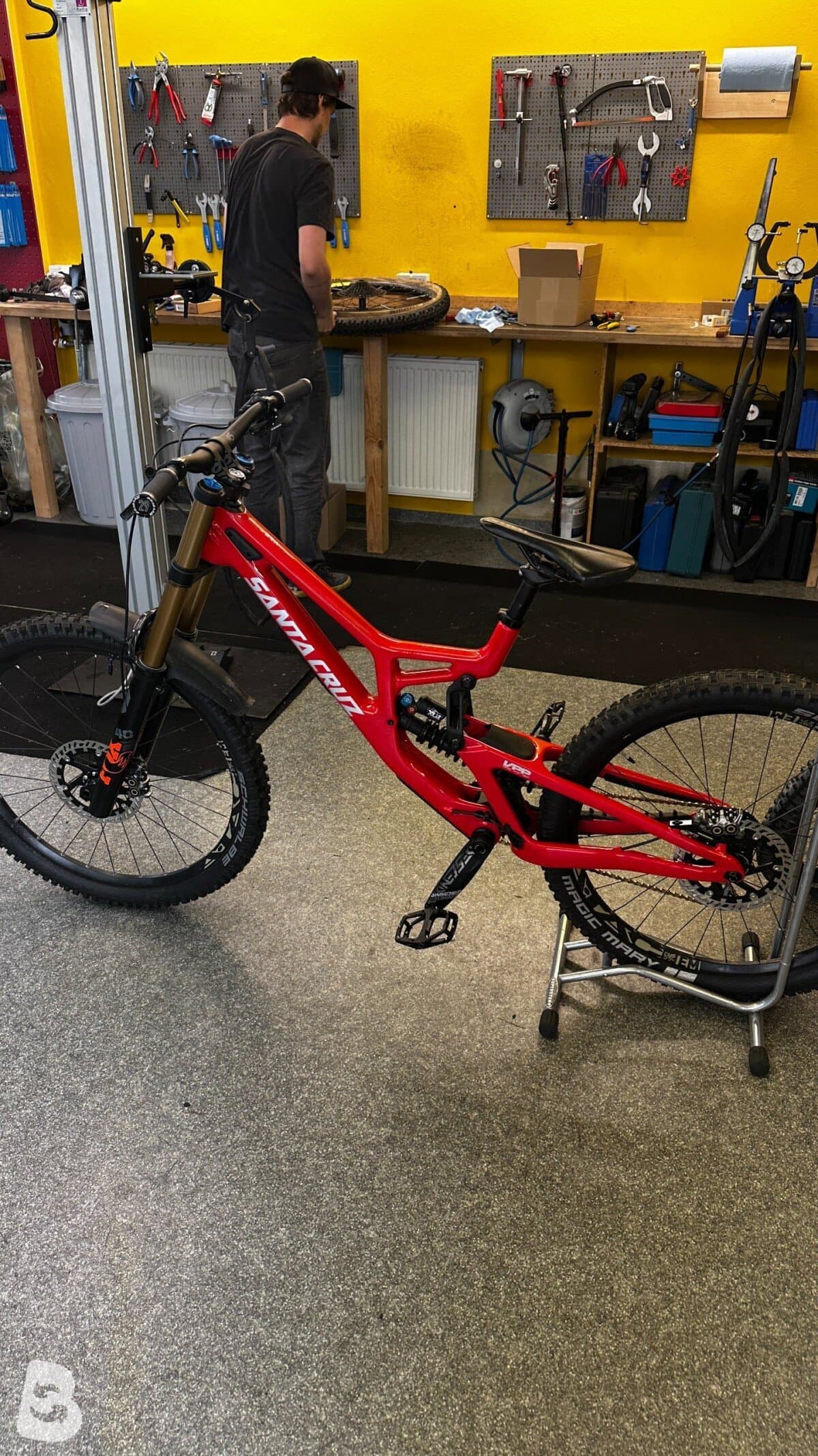 Santa Cruz V10 2024