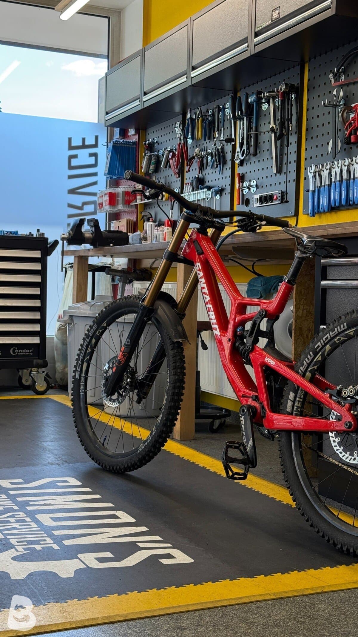 Santa Cruz V10 2024