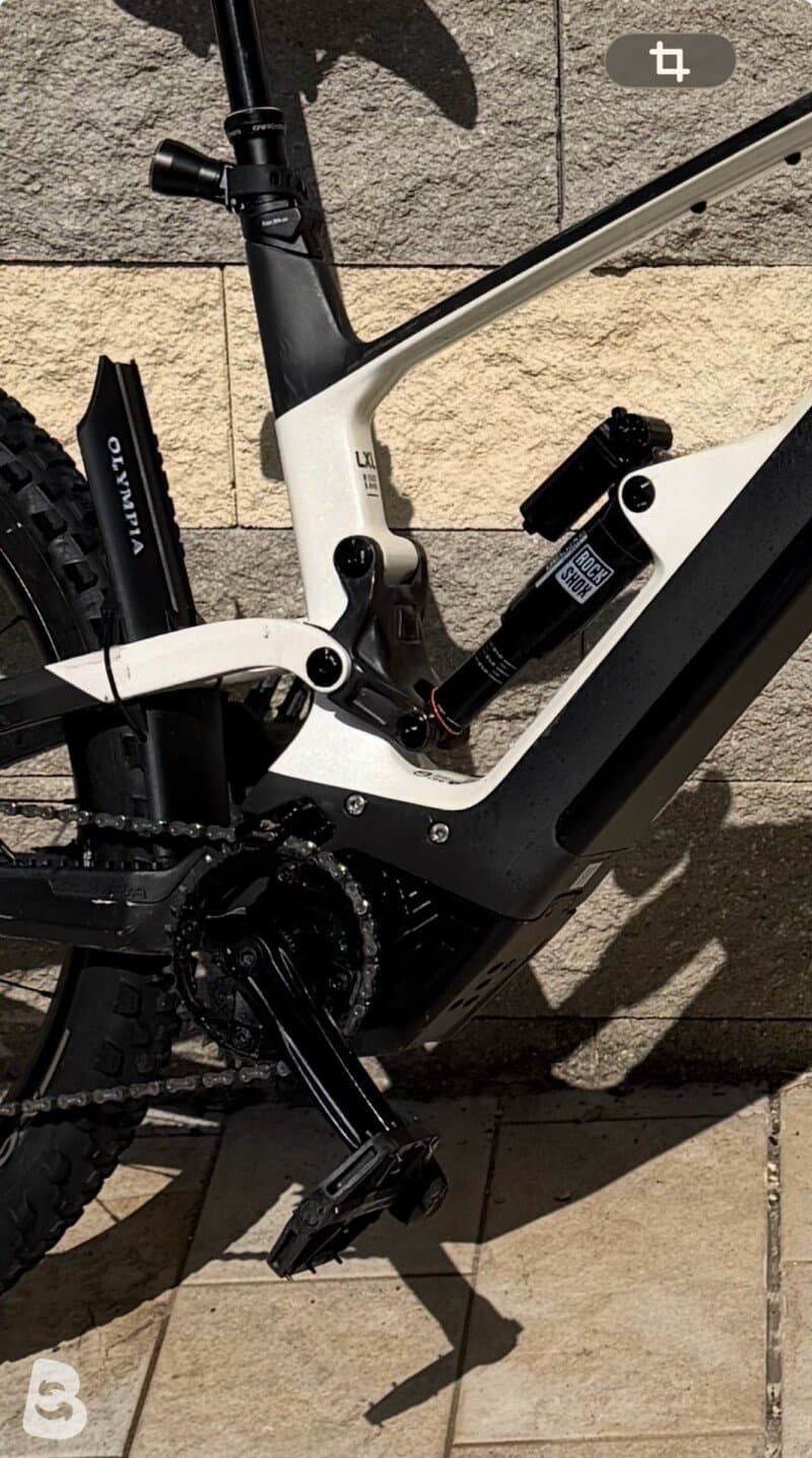 Olympia hammer 2024