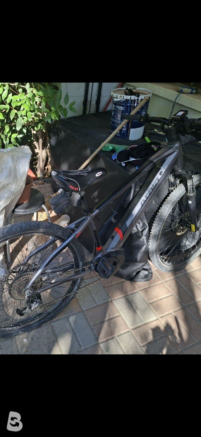 Atala B Cross 2022