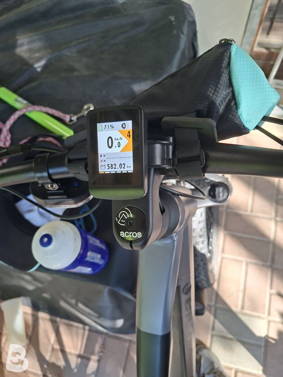 Atala B Cross 2022