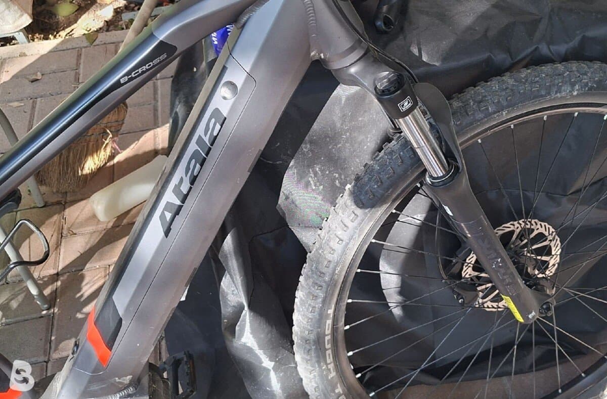 Atala B Cross 2022