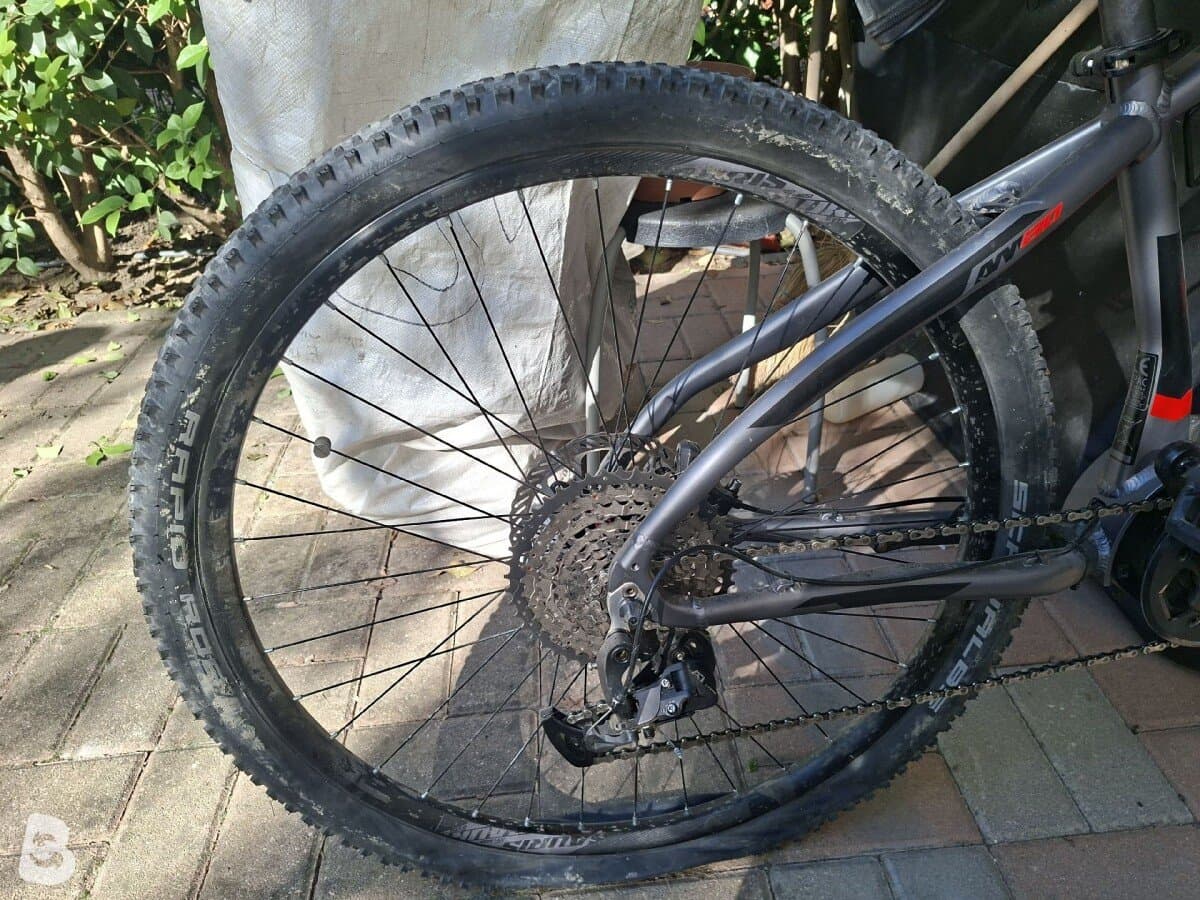 Atala B Cross 2022