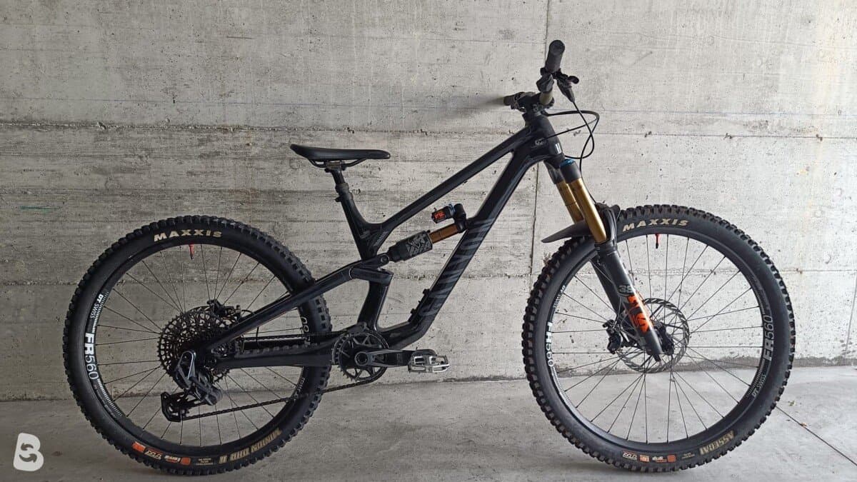 Canyon Torque Mullet CF 9 2023