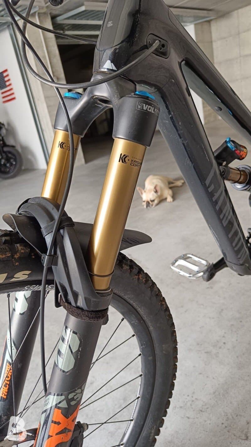 Canyon Torque Mullet CF 9 2023