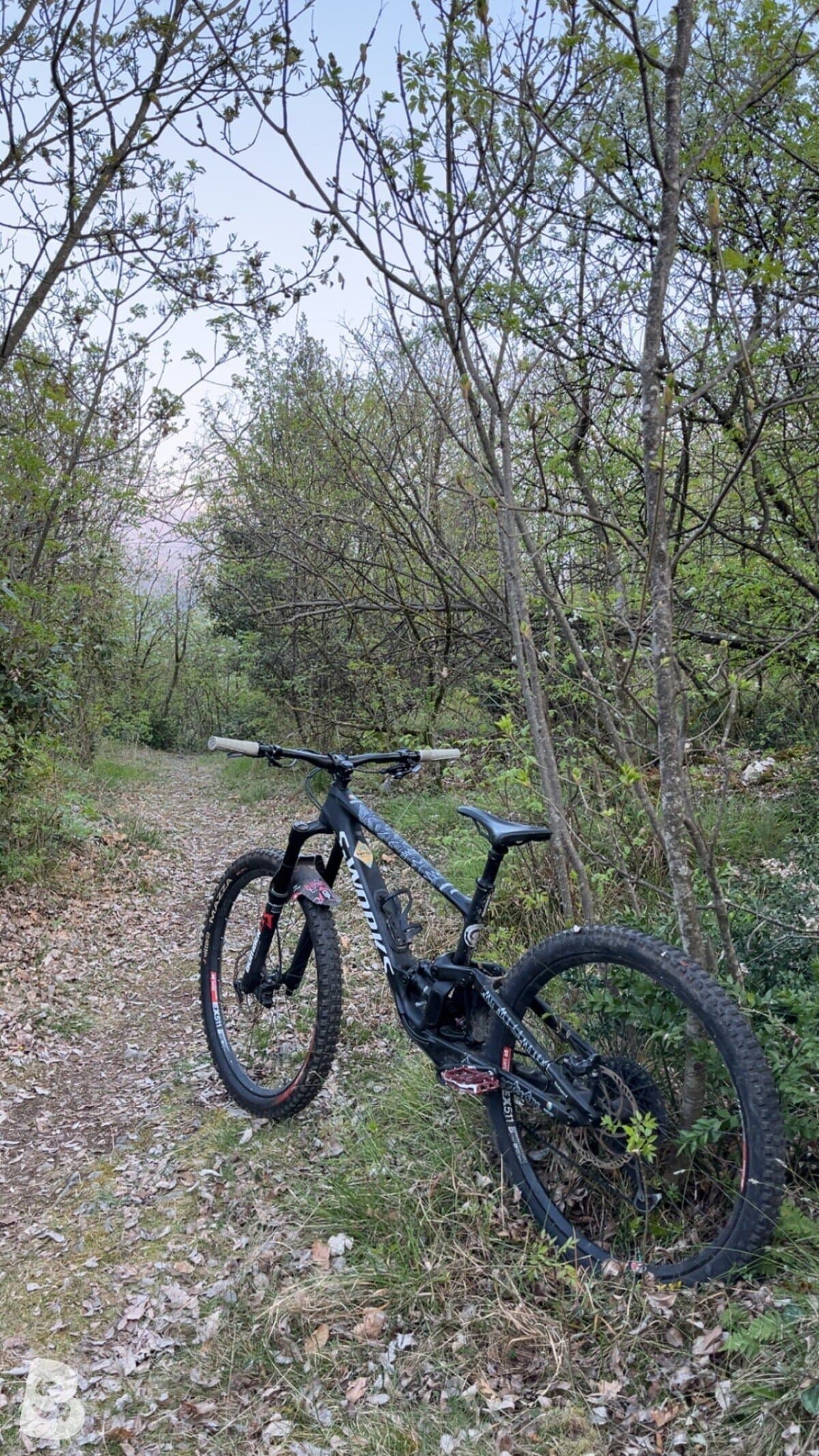 Specialized S-Works Enduro 2023