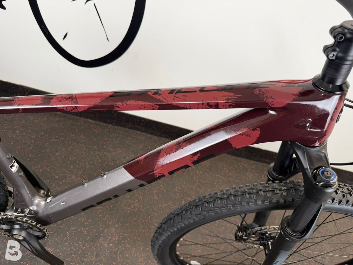 Polygon Syncline C3 disc 2026