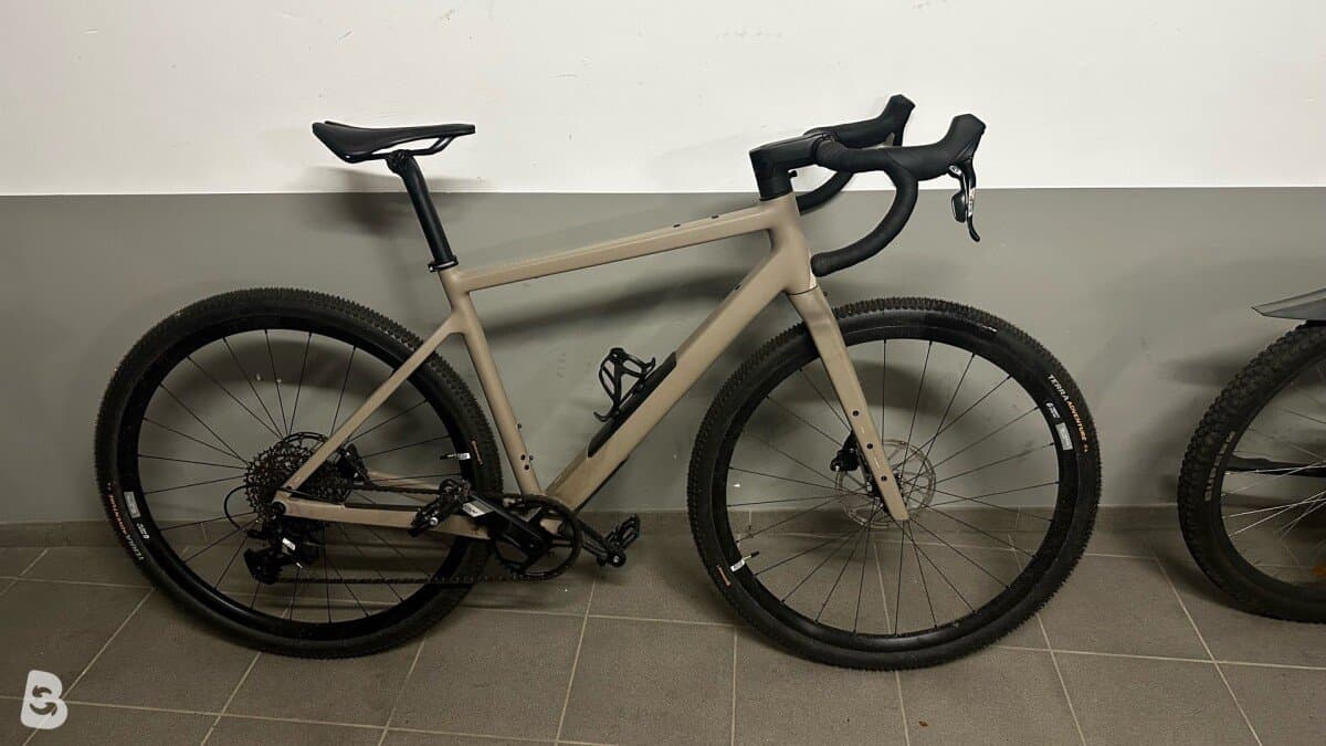 Rose Backroad Al Apex 2025