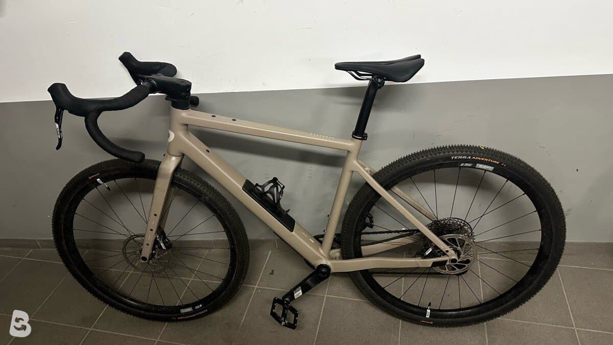 Rose Backroad Al Apex 2025
