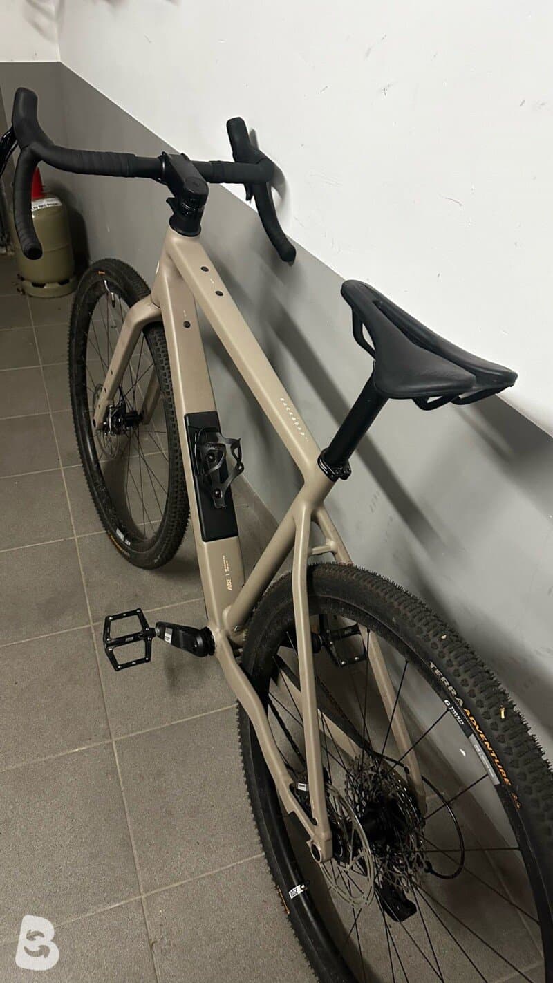 Rose Backroad Al Apex 2025