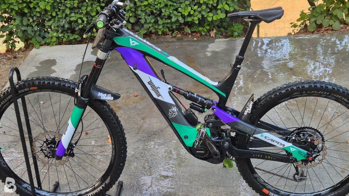YT Industries DECOY CF Pro Race 2019
