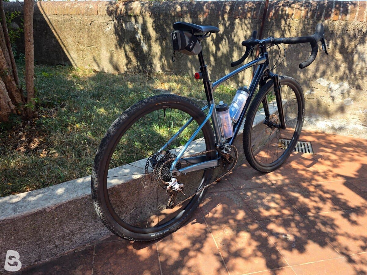 Giant Revolt X 2024