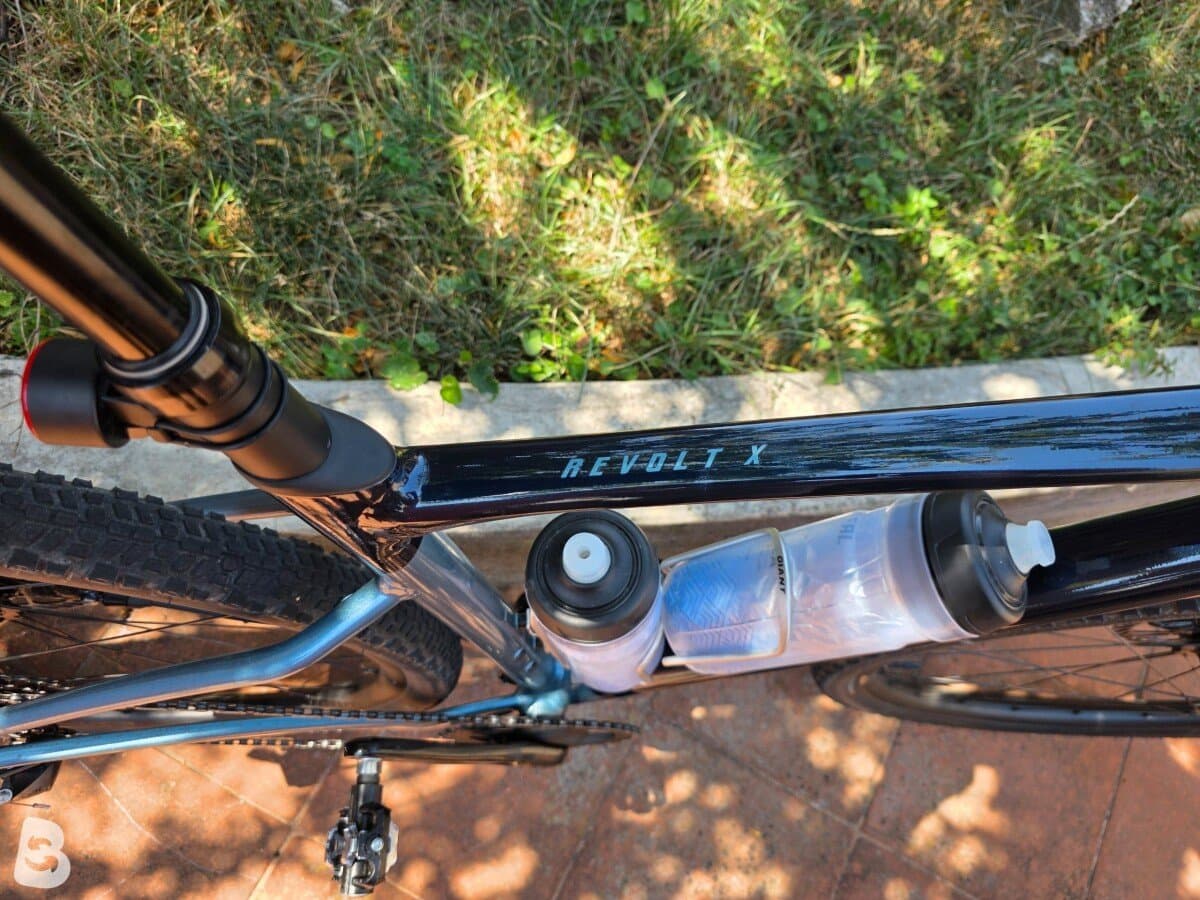 Giant Revolt X 2024