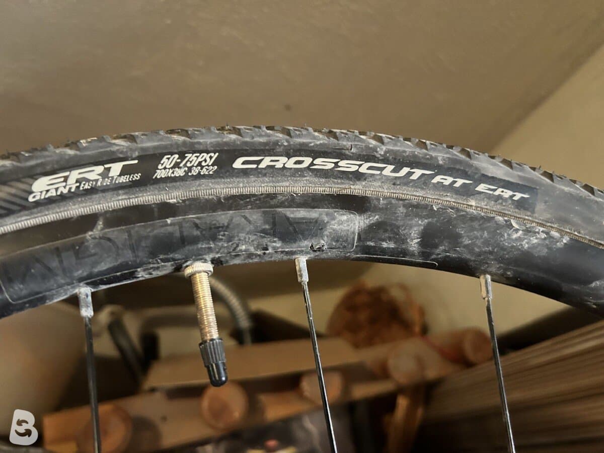 Trek Domane 100 2023