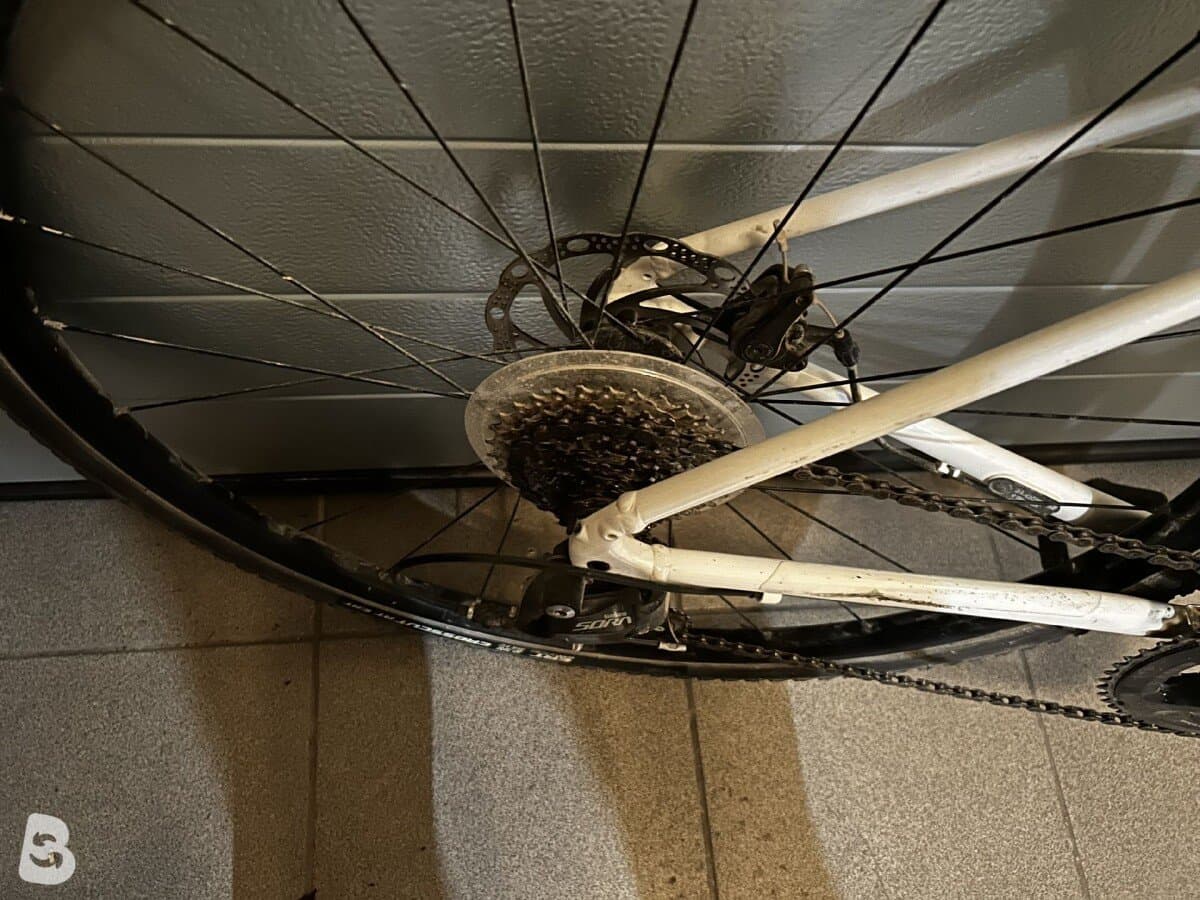 Trek Domane 100 2023