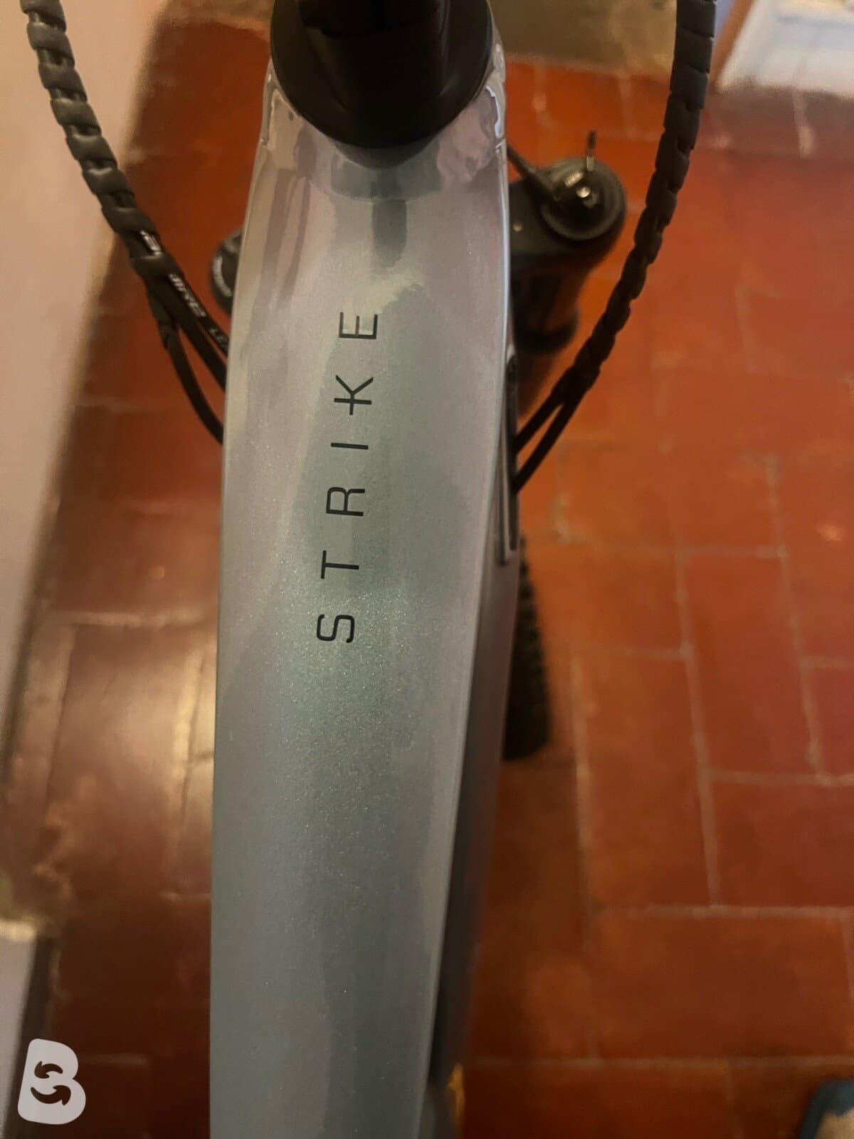 Scott Strike 2024