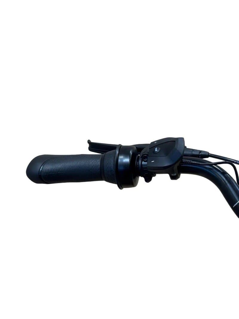 Gazelle Arroyo C7+ HMB Elite Shimano Nexus 2022