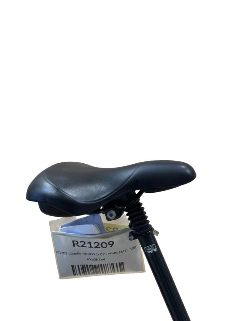 Gazelle Arroyo C7+ HMB Elite Shimano Nexus 2022