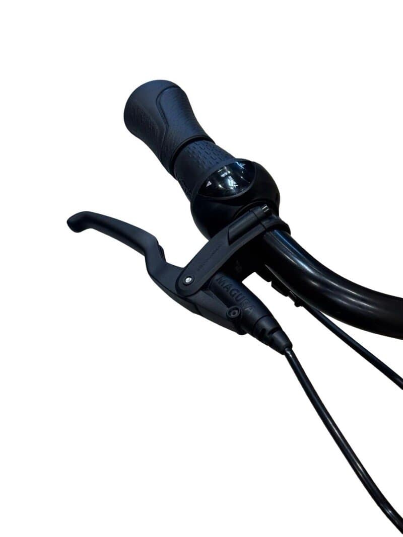 Gazelle Arroyo C7+ HMB Elite Shimano Nexus 2022