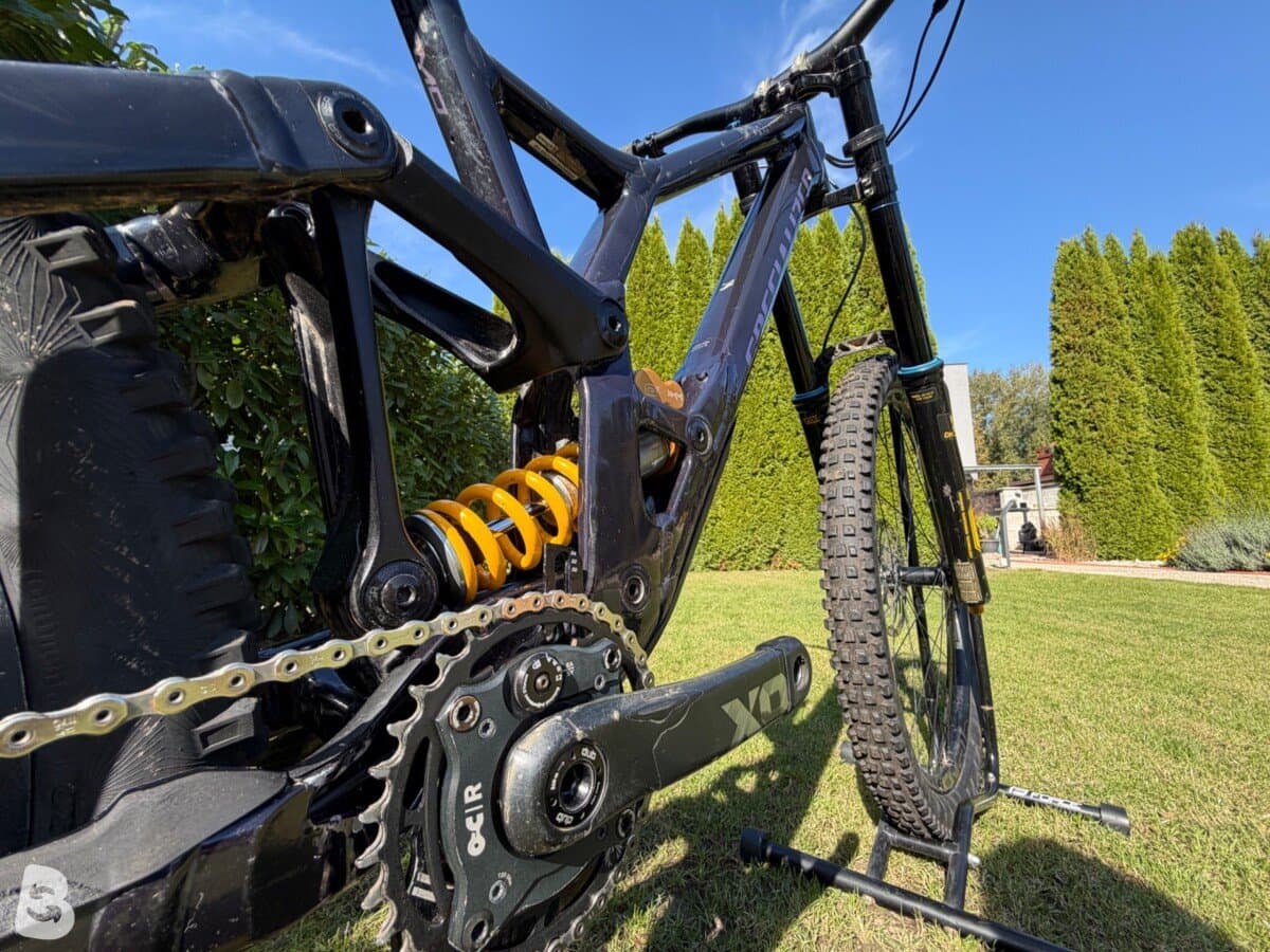 Specialized Demo Race 2021