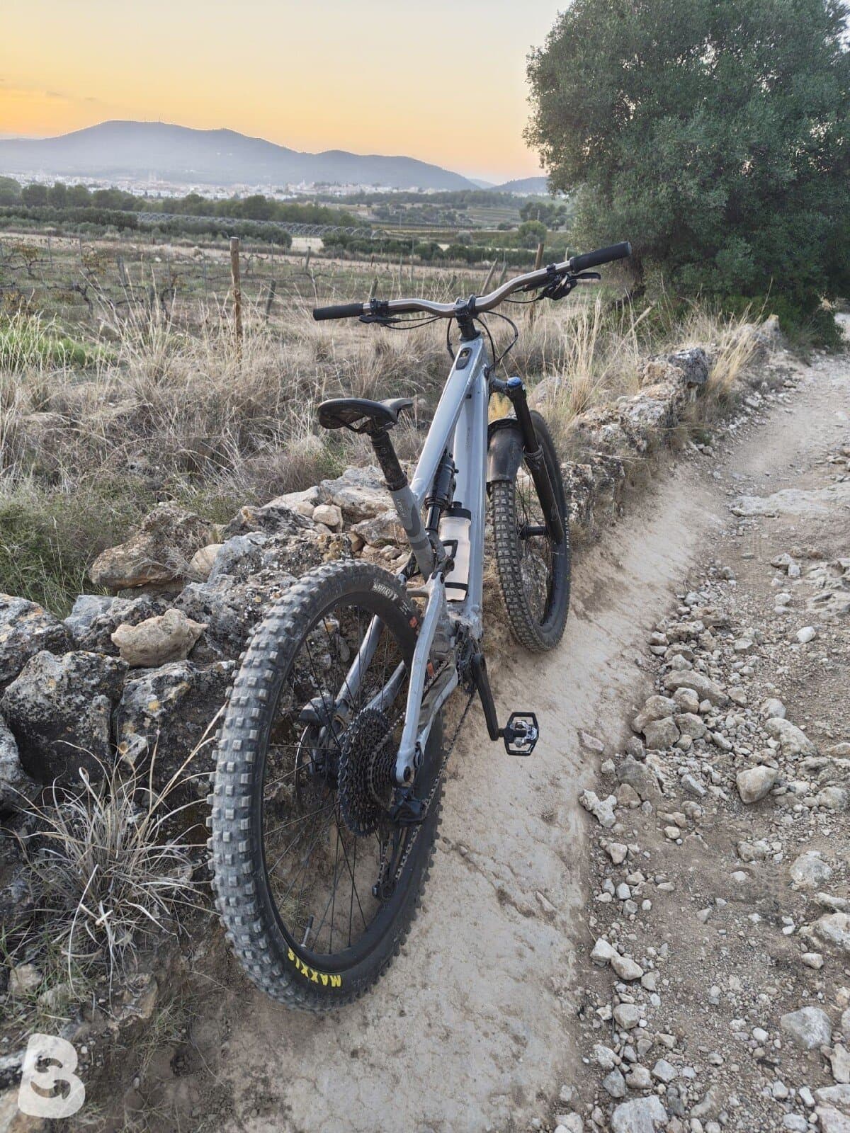 Specialized Turbo Levo SL Comp Alloy 2024
