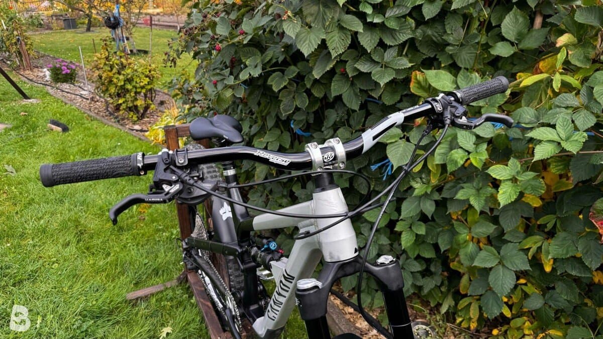 Canyon Spectral 29 AL 5 2023