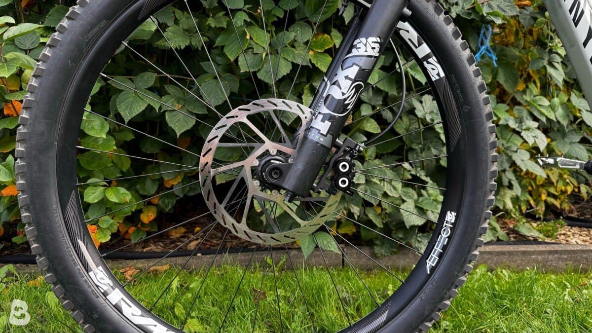 Canyon Spectral 29 AL 5 2023