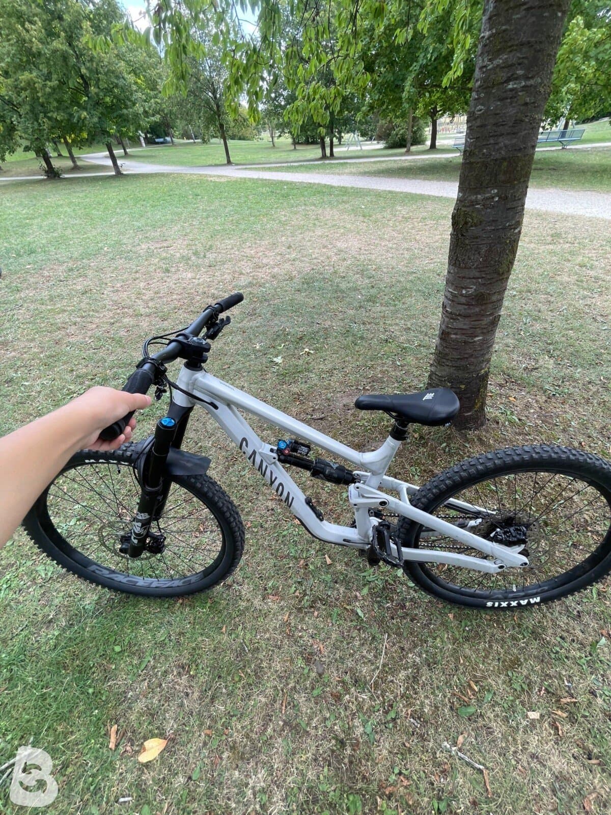 Canyon Torque AL 5.0 2025
