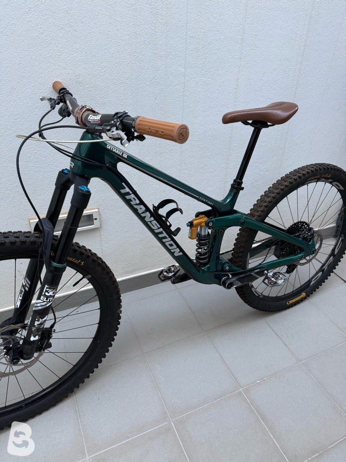 Transition Sentinel Carbon 2021 2021