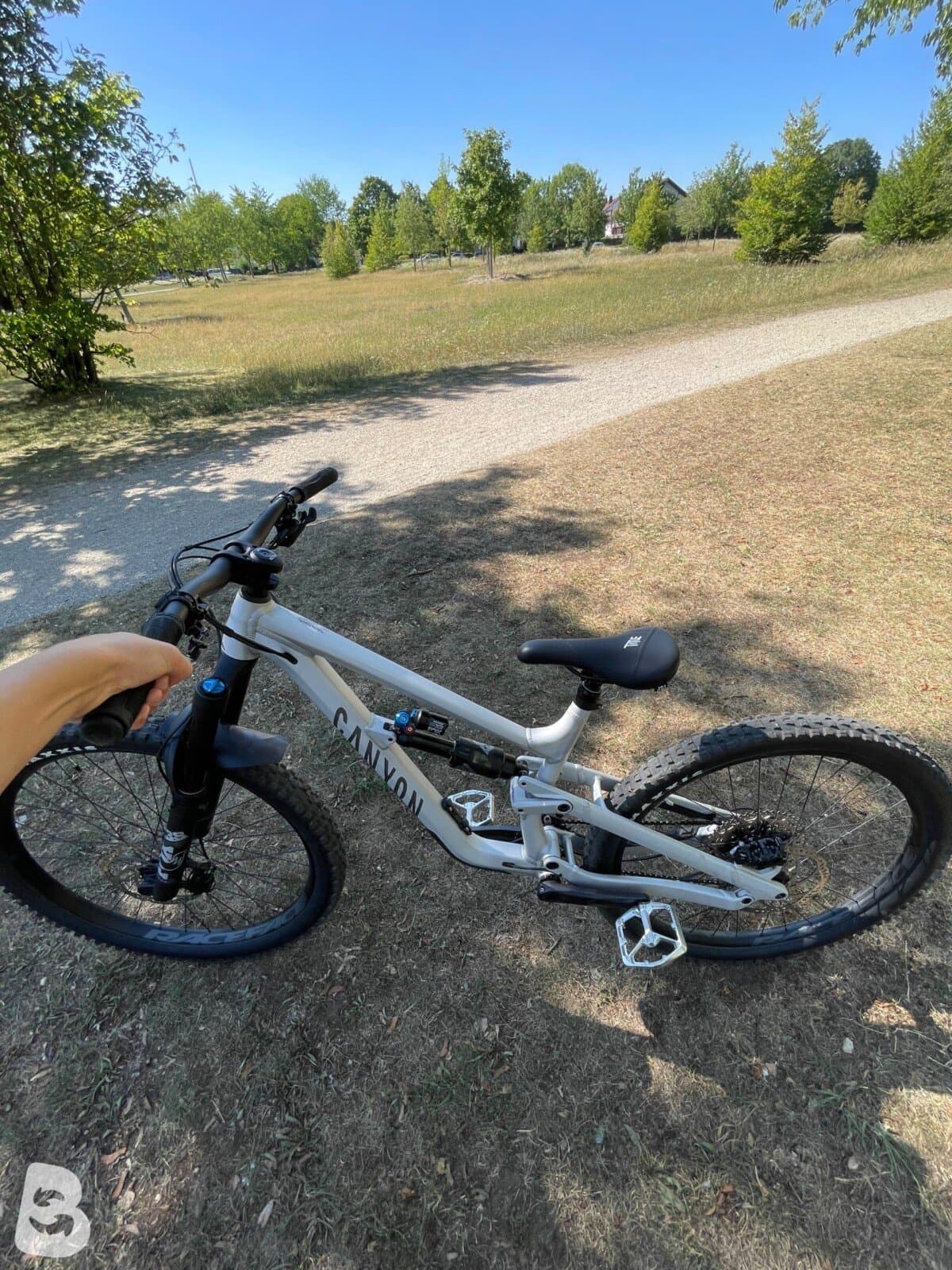 Canyon Torque AL 5.0 2025
