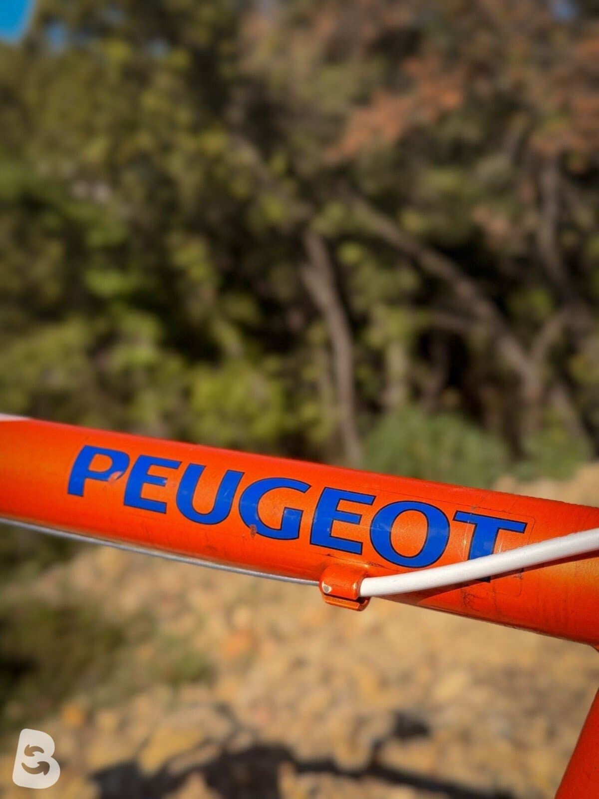 Peugeot Vélo route vintage / Vintage Road Bike – Taille L – Shimano EXAGE – Cadre aluminium 2000