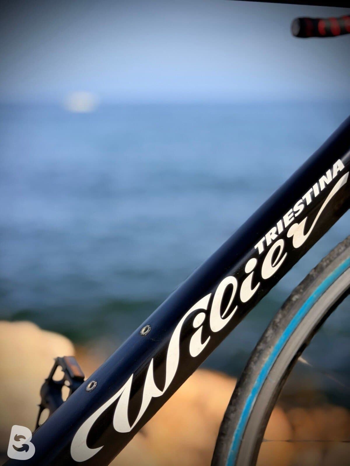 Wilier Vélo de route carbone / Carbon Road Bike – Taille XL – Shimano Tiagra 2017