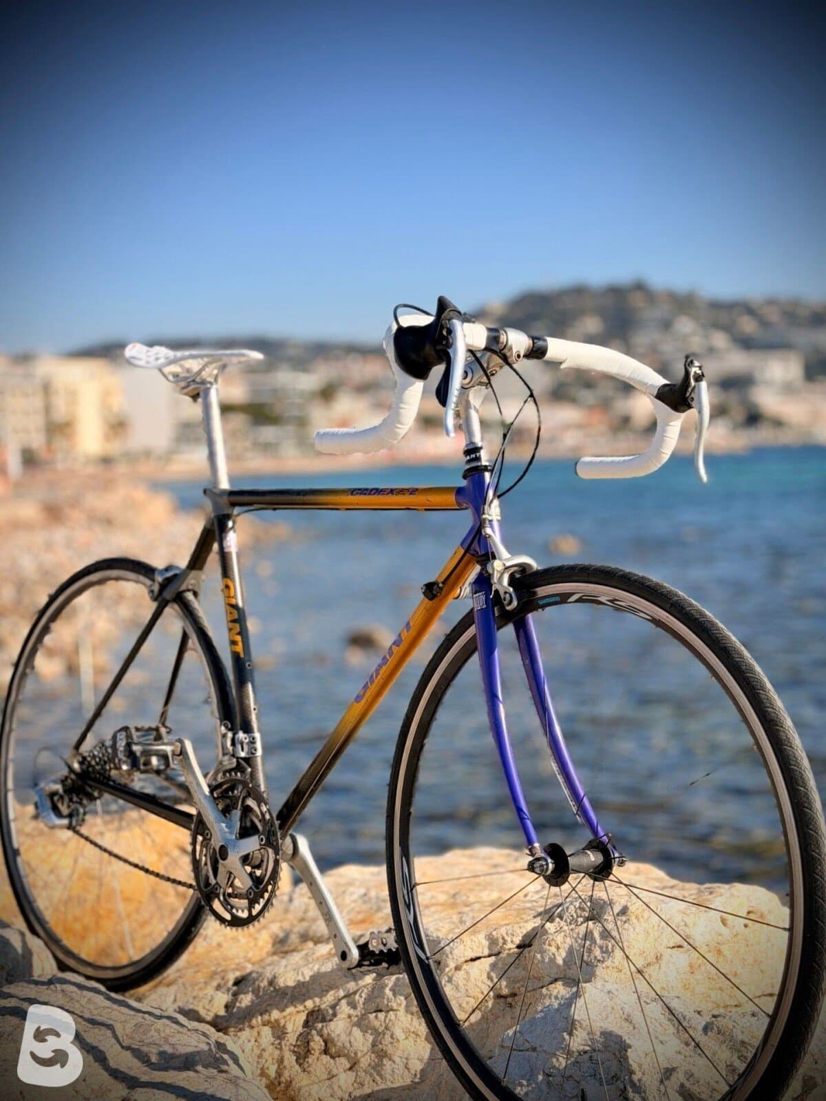 Giant Vélo route vintage / Vintage Road Bike – Taille M – Campagnolo – Cadre carbone 2000