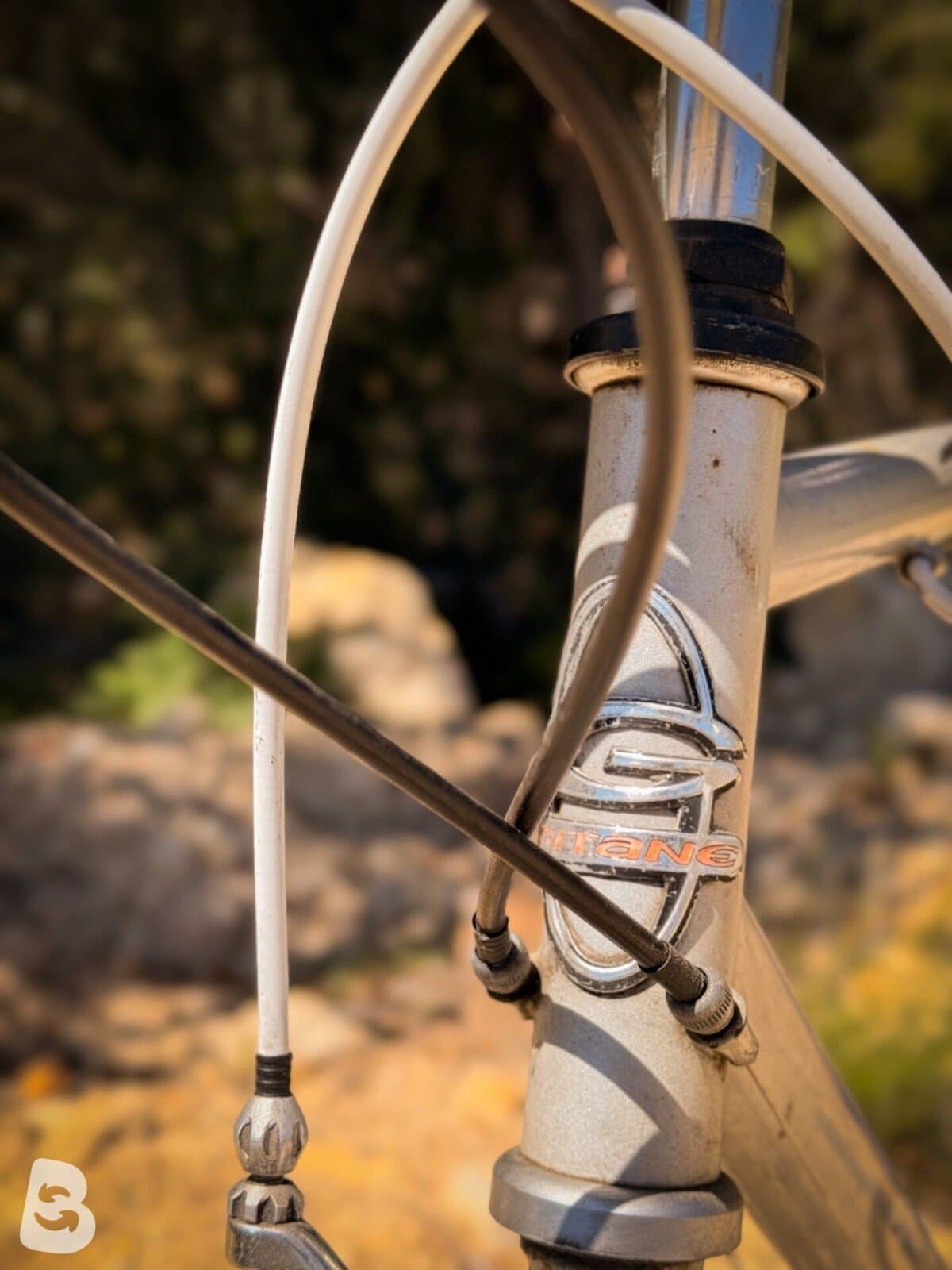 Gitane Vélo route vintage / Vintage Road Bike – Taille L – Shimano – Cadre aluminium 2000