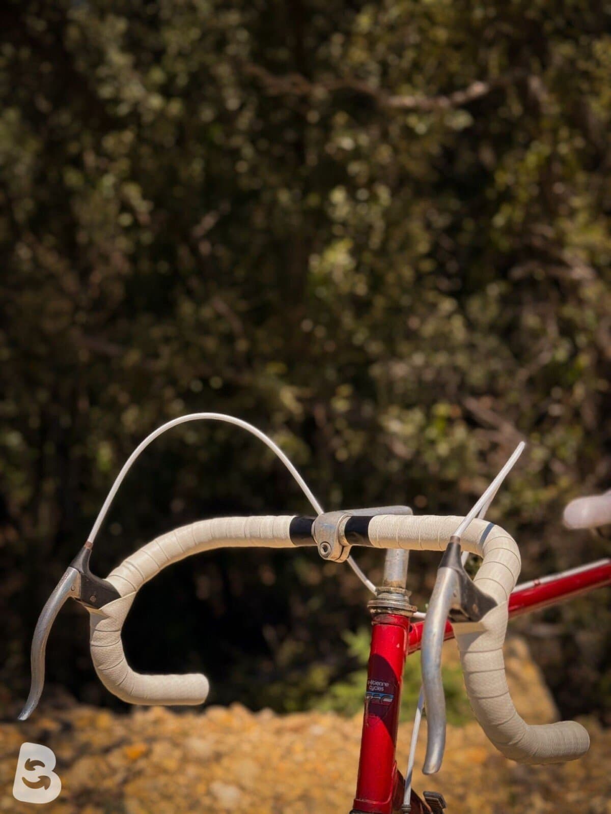 Peugeot Vélo route vintage / Vintage Road Bike – Taille L – Simplex – Cadre acier 1980