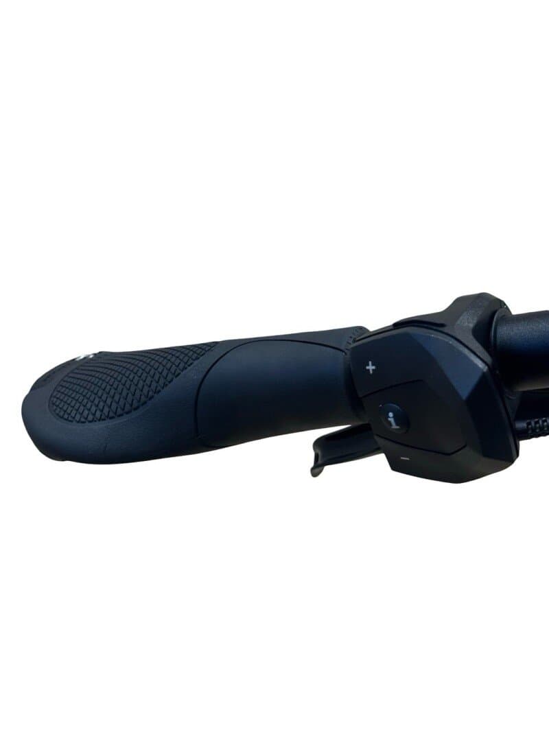 Kettler Quadriga T&C Pro Belt Shimano Nexus 2022