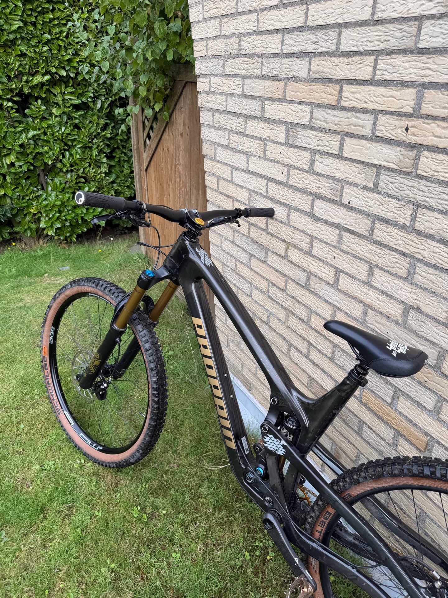 Propain Spindrift 4 CF custom 2021