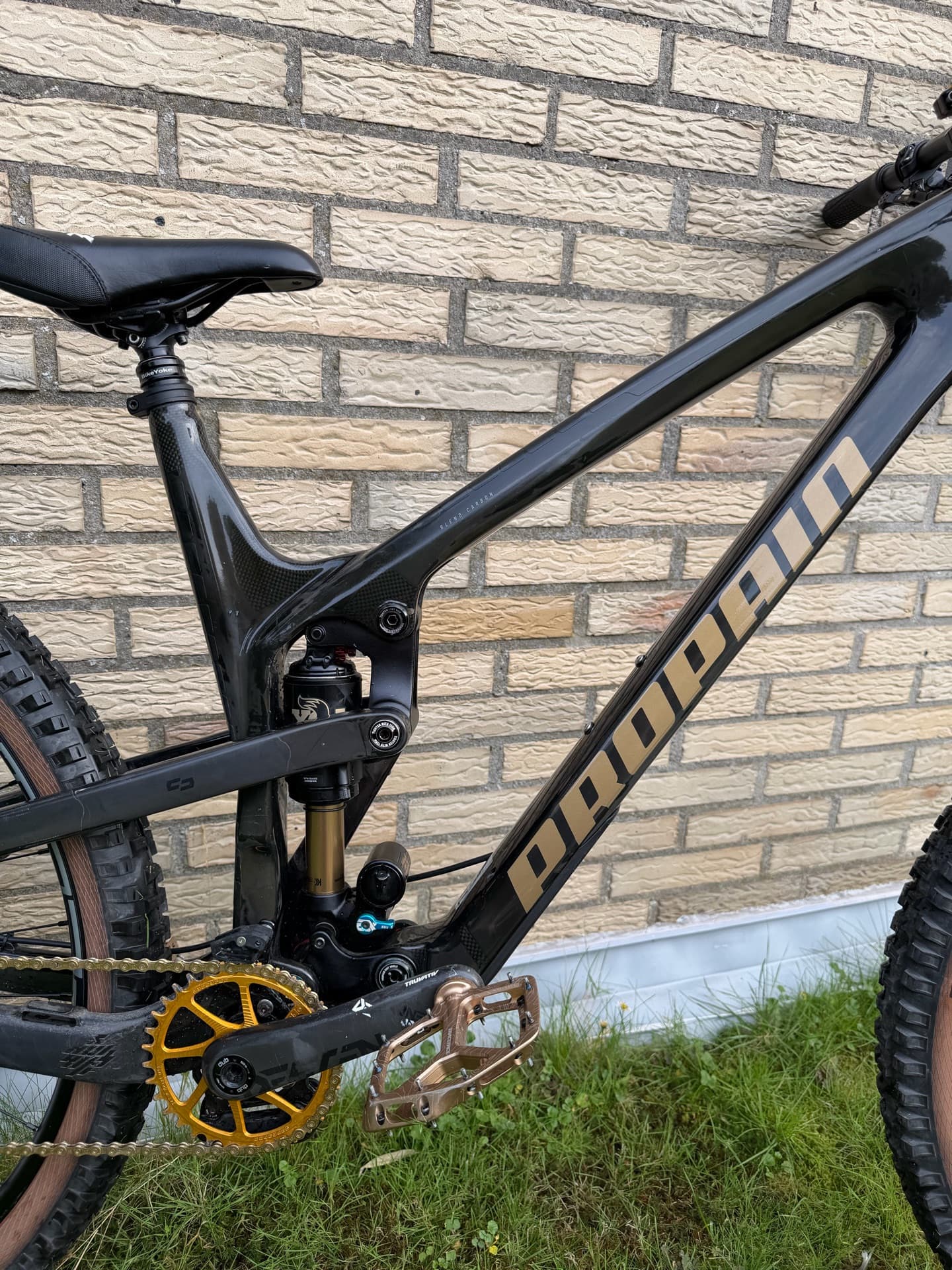 Propain Spindrift 4 CF custom 2021