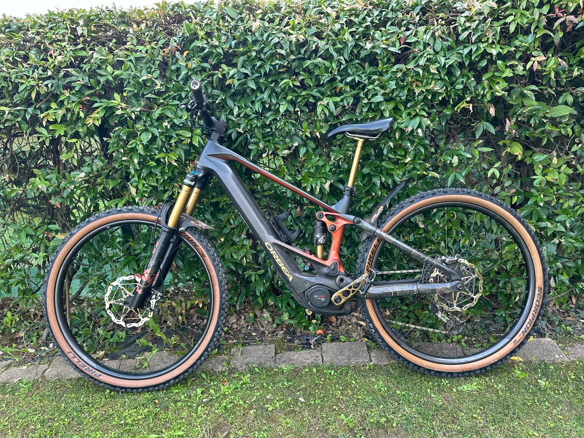 Orbea Wild M-LTD 2025 2025