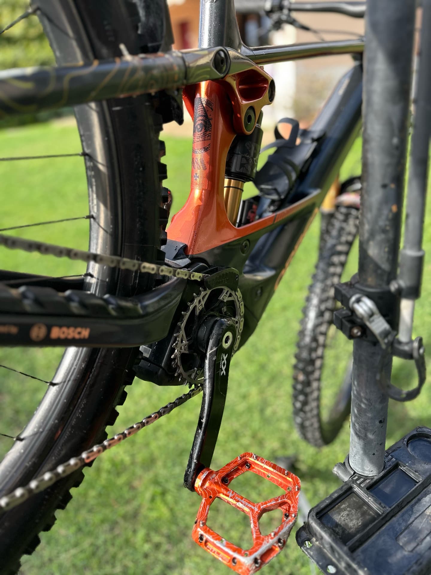 Orbea Wild M-LTD 2025 2025