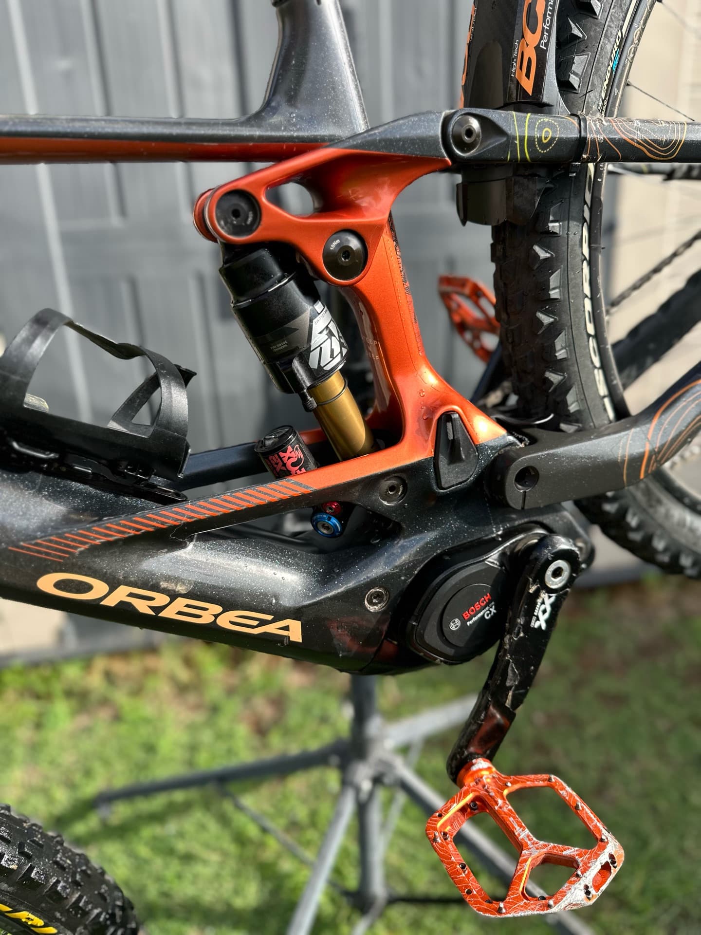 Orbea Wild M-LTD 2025 2025