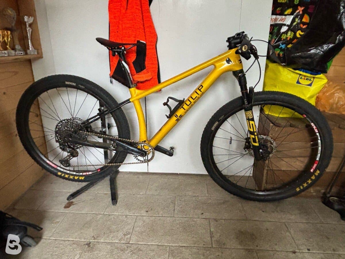 Title MTB Tulip 2024