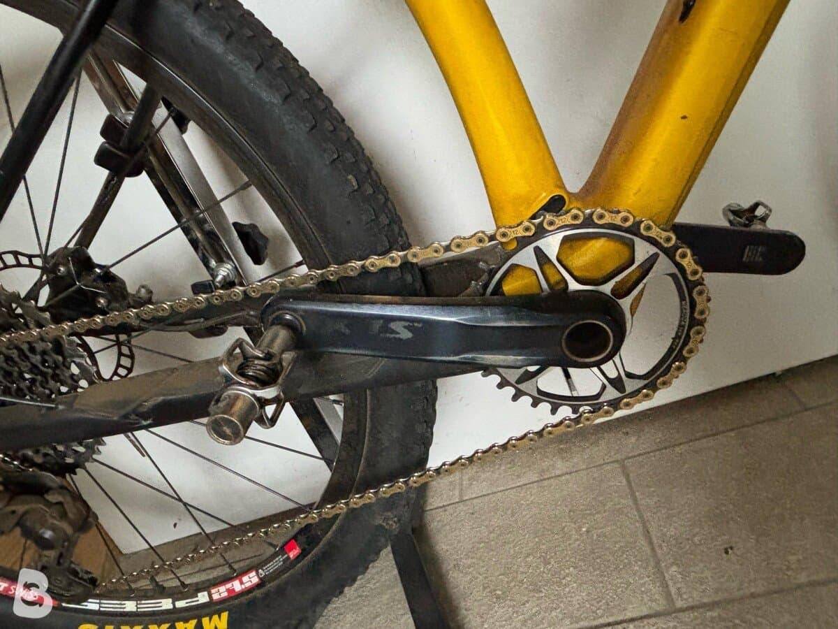 Title MTB Tulip 2024